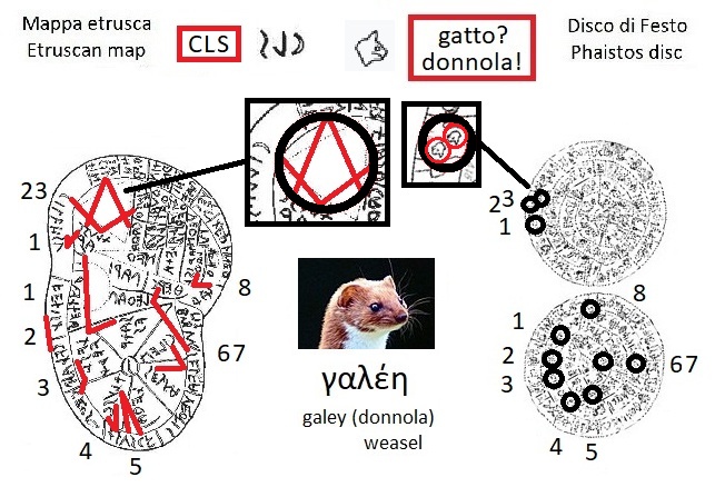 CLS nella mappa etrusca (CLS in the Etruscan liver map) e segno gatto donnola nel disco di Festo (cat weasel sign in the Phaistos Disc)