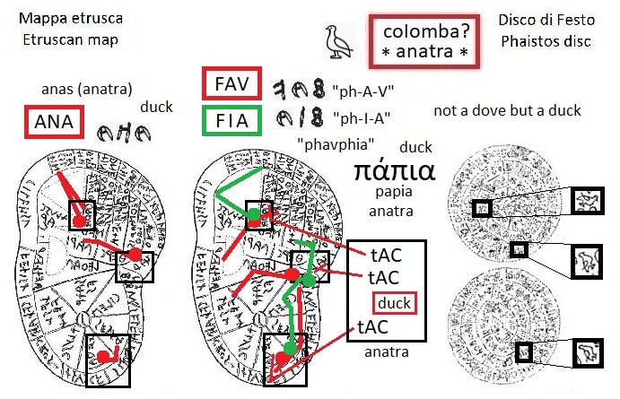 ANA FAV phav FIA phia nella mappa etrusca (ANA FAV phaV FIA phia in the Etruscan liver map) e segno colomba anatra nel disco di Festo (dove duck sign in the Phaistos Disc)