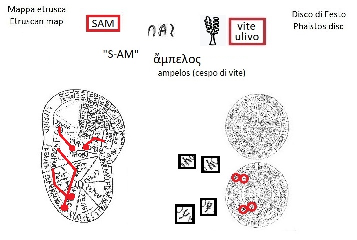 SAM nella mappa etrusca (SAM in the Etruscan liver map) e segno vite olivo ulivo nel disco di Festo (vines olive sign in the Phaistos Disc)