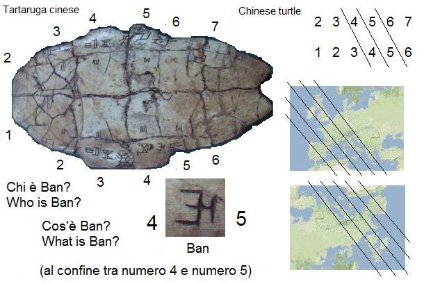 La tartaruga Europa (Europe is a chinese turtle)